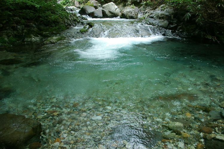 IMGP5714.jpg
