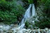 IMGP5571