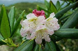 IMGP5673