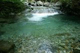 IMGP5714