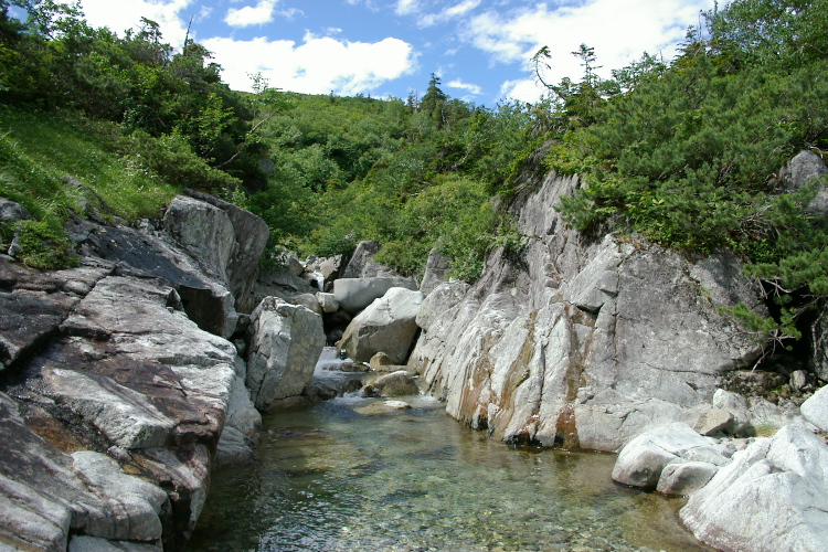 IMGP5820.jpg