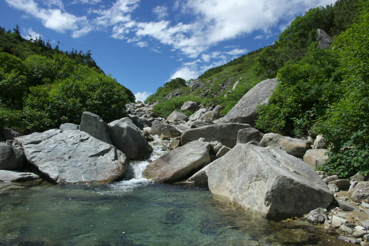 IMGP5823.jpg