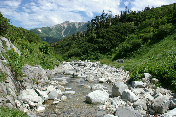 IMGP5827.jpg