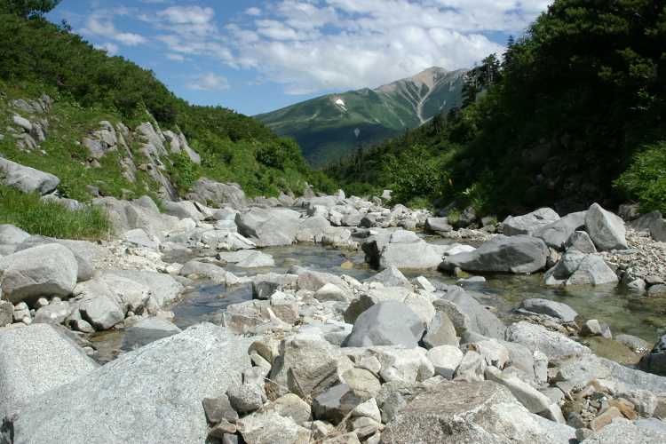 IMGP5829.jpg