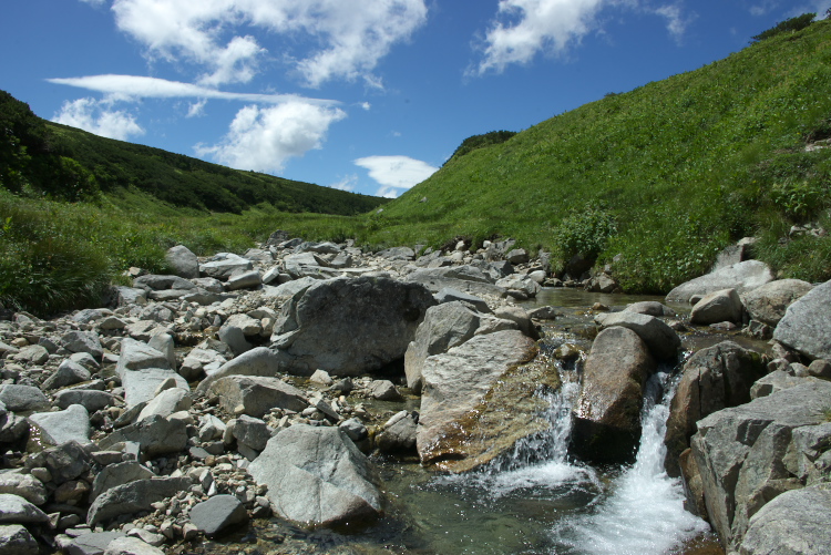 IMGP5837.jpg