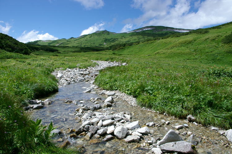 IMGP5842.jpg