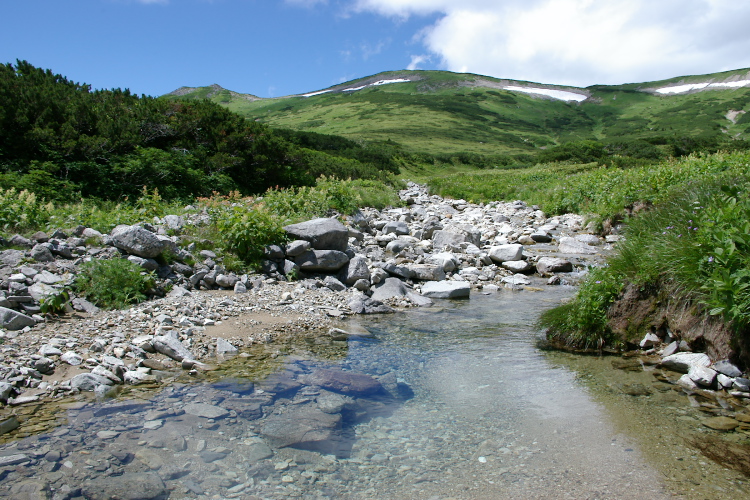 IMGP5848.jpg