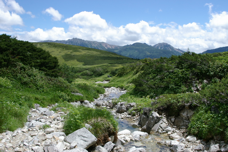 IMGP5852.jpg
