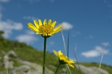 IMGP5834