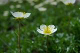 IMGP5919