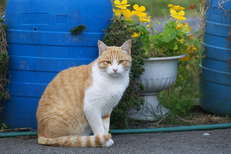IMGP6192.jpg