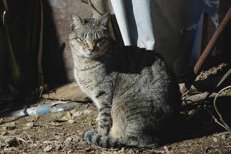 IMGP6416.jpg