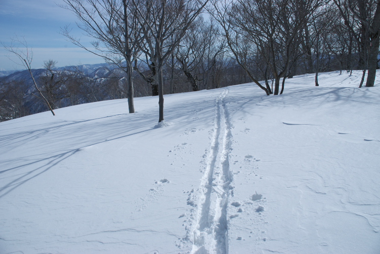 IMGP6475.jpg