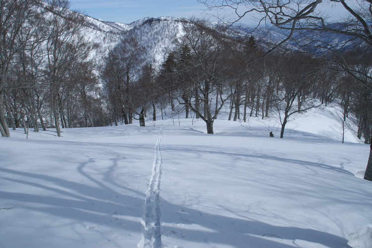 IMGP6483.jpg