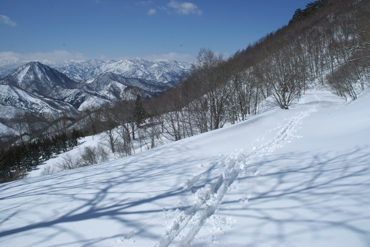 IMGP6550.jpg