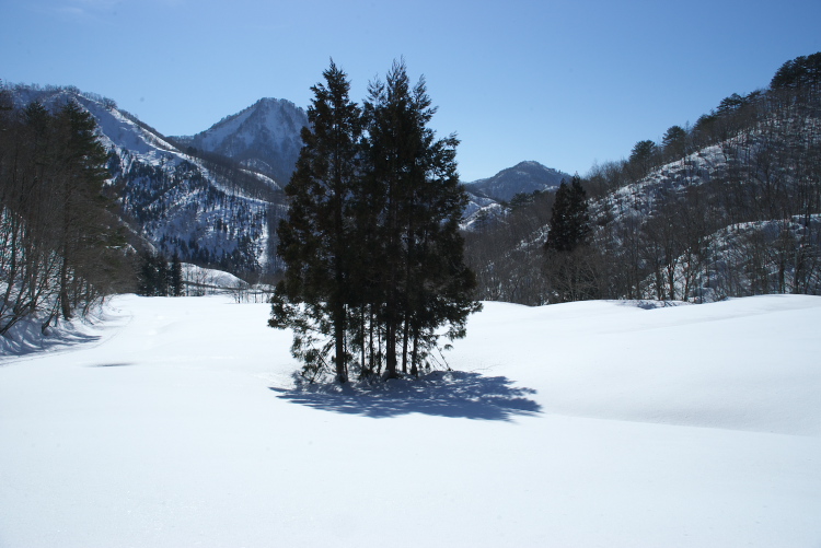 IMGP6584.jpg