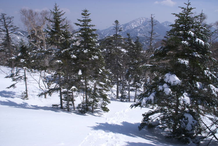 IMGP6609.jpg