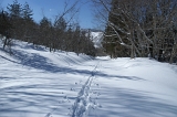IMGP6526