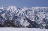 IMGP6743