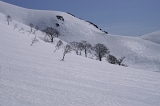 IMGP6746