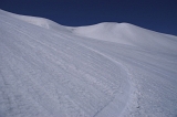 IMGP6767