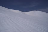 IMGP6795
