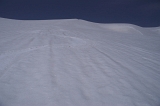 IMGP6796