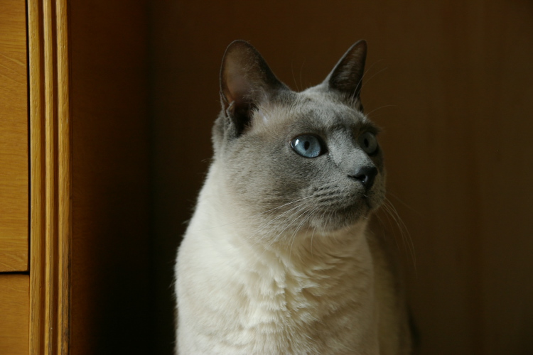 IMGP6940.jpg - ぼくお