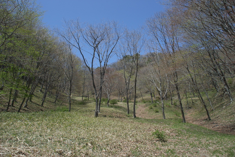 IMGP7014.jpg