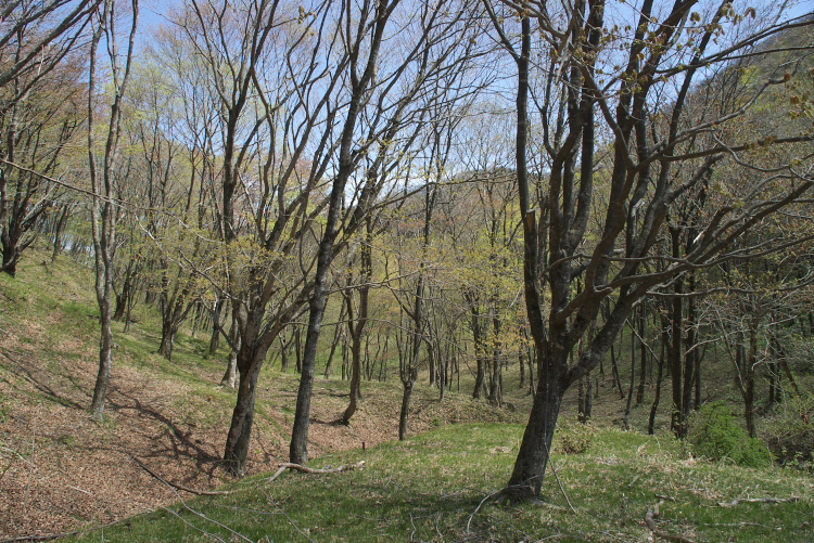 IMGP7015.jpg