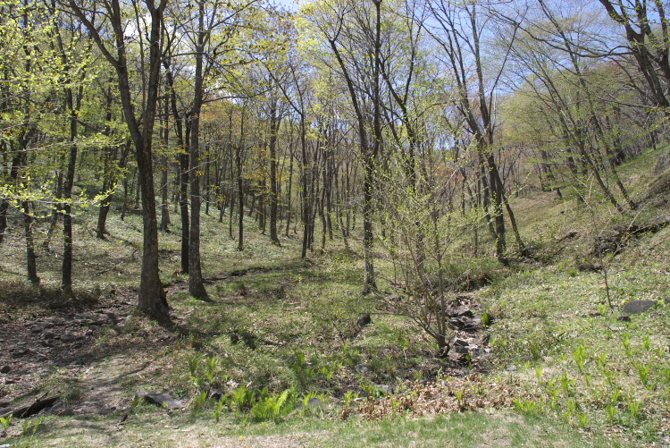 IMGP7019.jpg