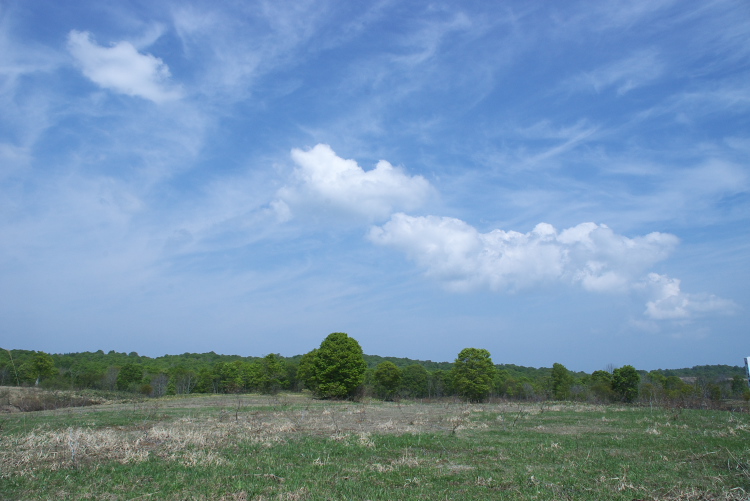 IMGP7209.jpg