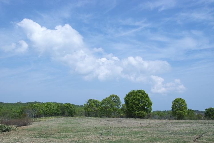 IMGP7210.jpg
