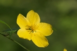 IMGP6896