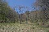 IMGP7014