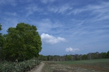 IMGP7203