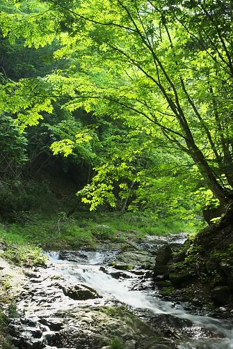 IMGP7279.jpg - 大薙沢