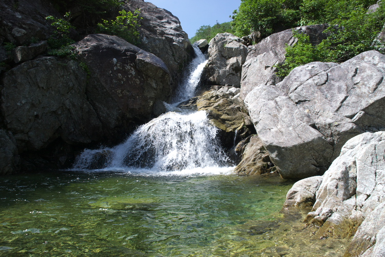 IMGP7380.jpg