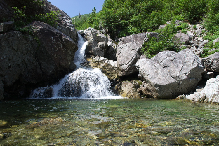 IMGP7381.jpg