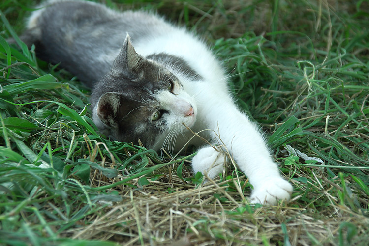 IMGP7414.jpg