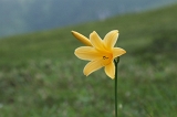 IMGP7340