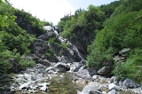 IMGP7390
