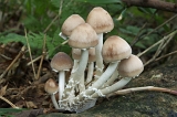 IMGP7638