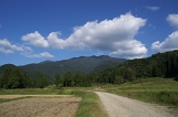 IMGP7735