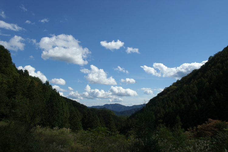 IMGP7744.jpg