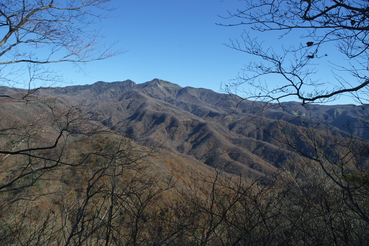 IMGP7755.jpg