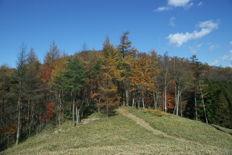 IMGP7777.jpg