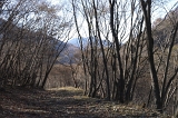 IMGP7789