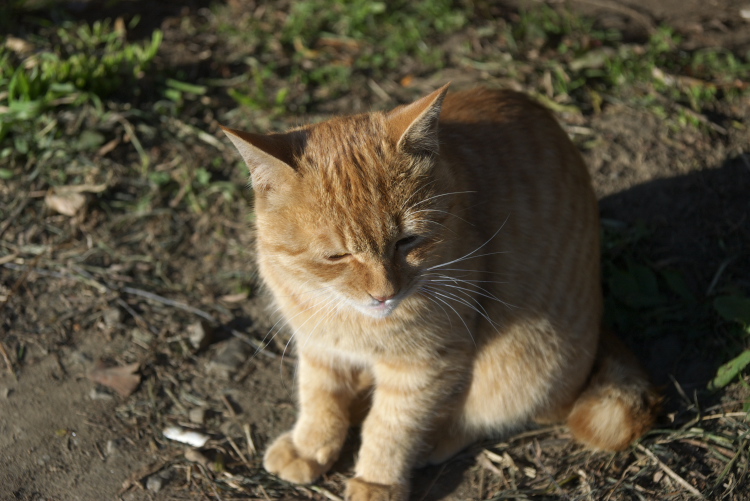 IMGP7812.jpg