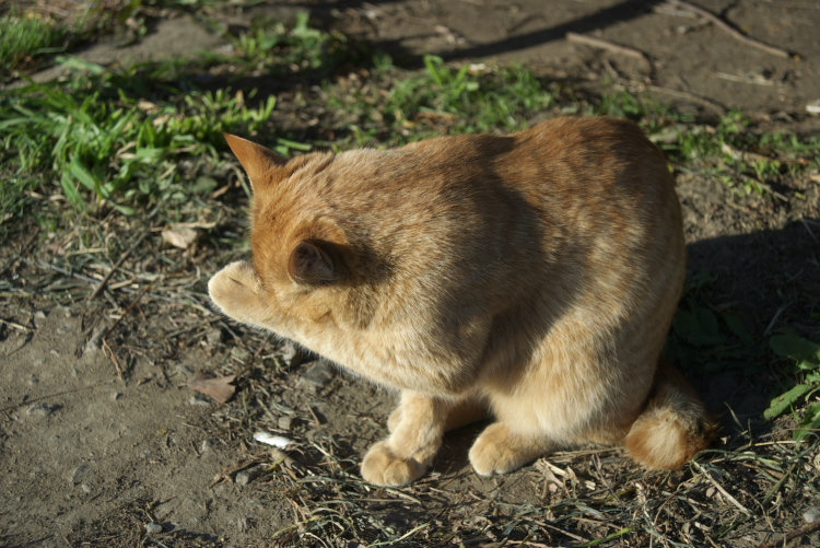 IMGP7814.jpg